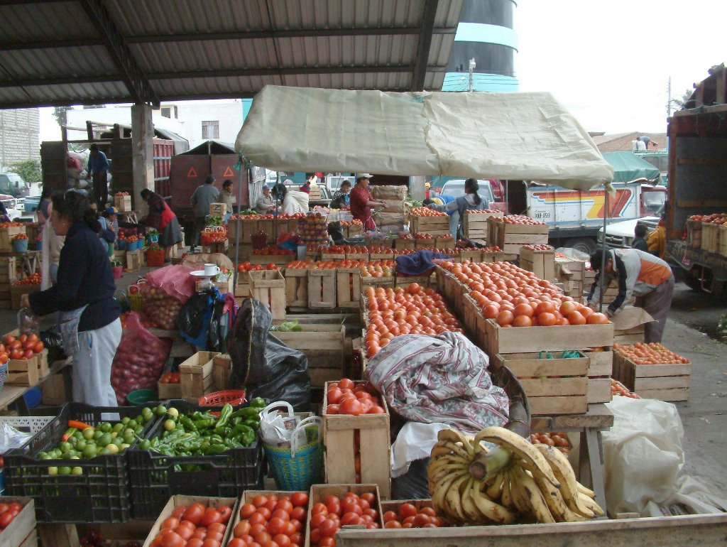 11-Vegetable market .jpg - Vegetable market